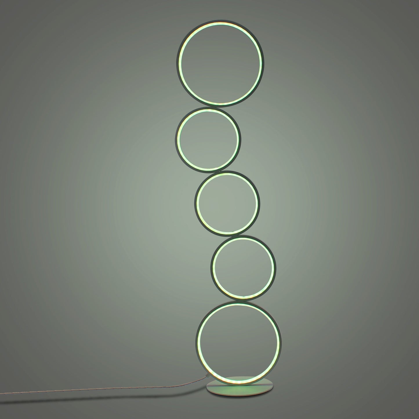 RGB Minimalist Circular Floor Lamp