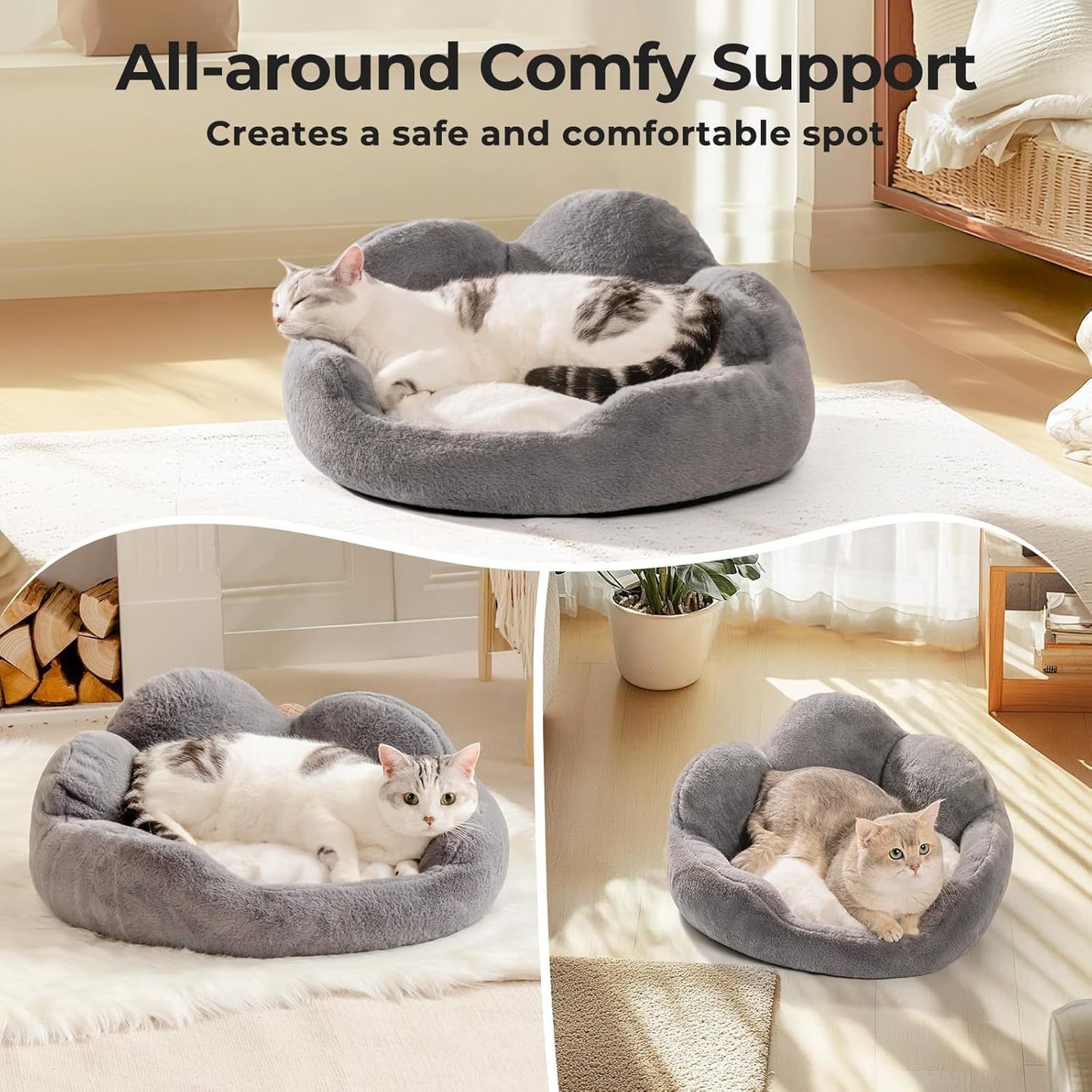 Cat Bed And Small Dog Bed