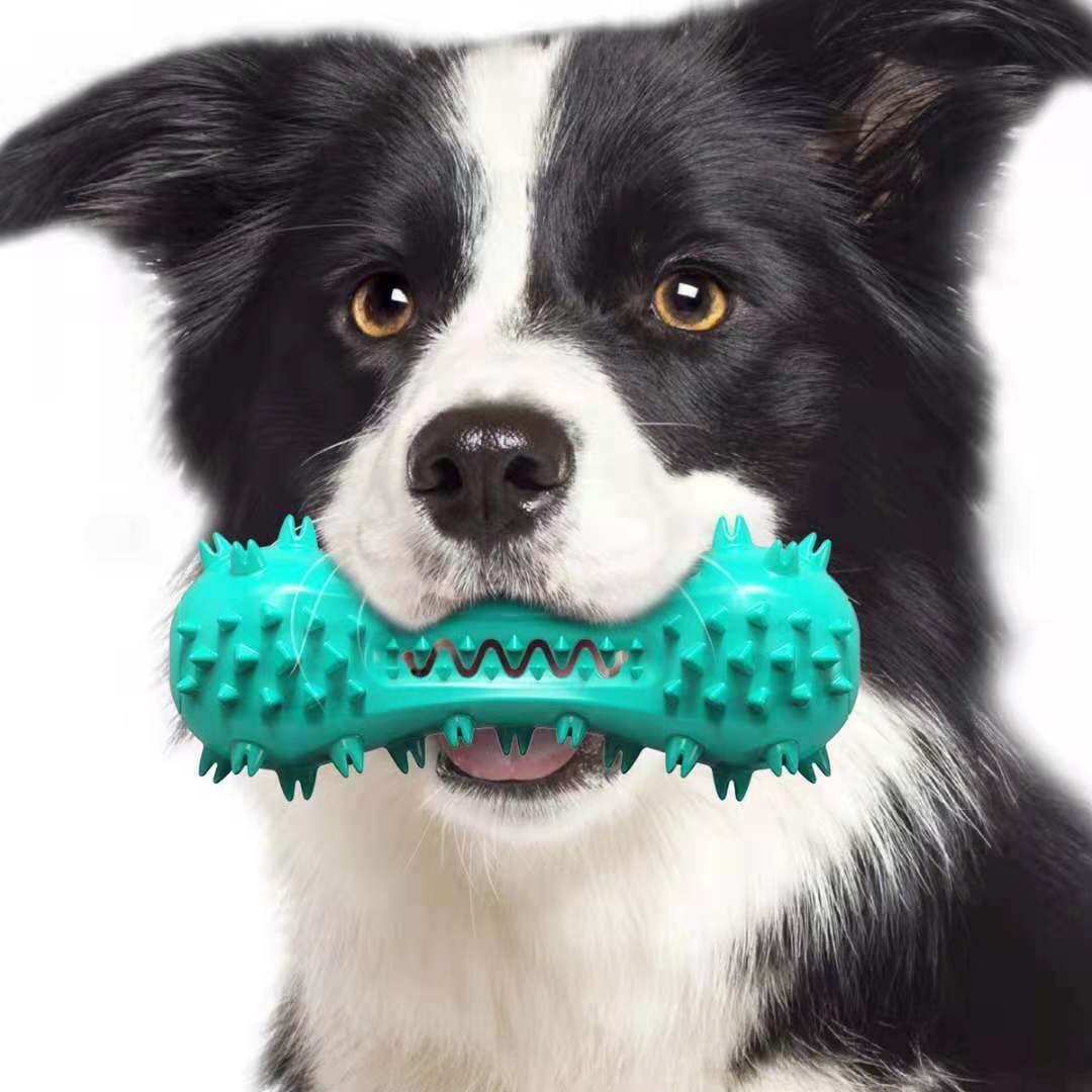 Dog Supplies