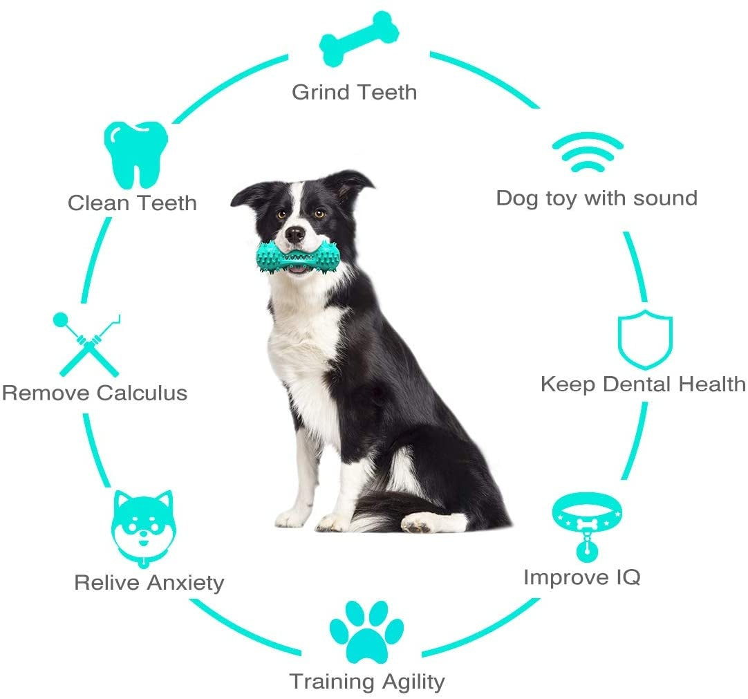 Dogs Rubber Molar Stick