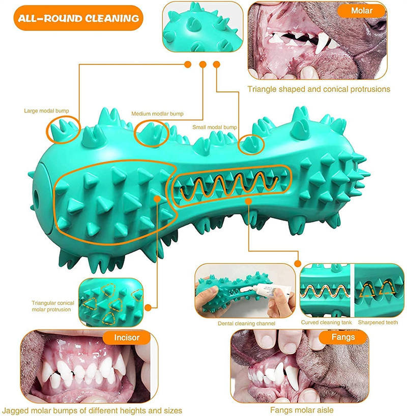 Dogs Rubber Molar Stick