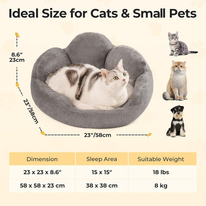 Cat Bed And Small Dog Bed