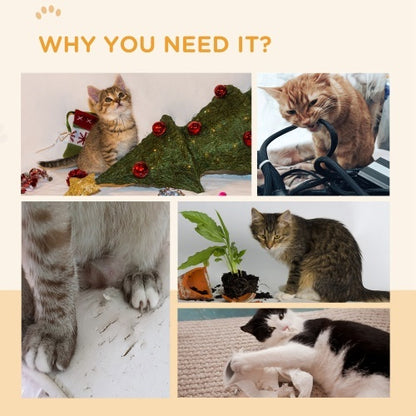 Cat Scratching Board