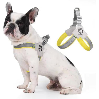 Pet Dog Cat Harness