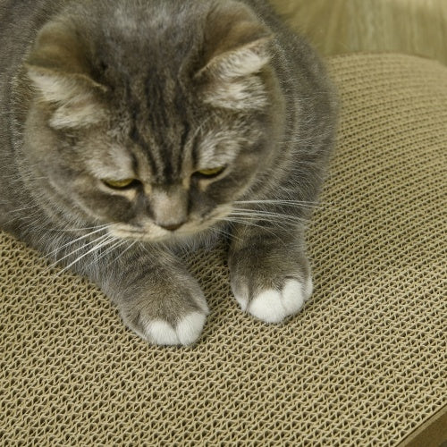 Cat Scratching Board