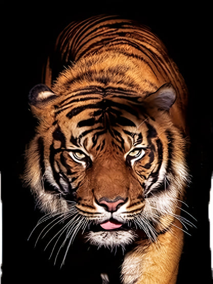3D Tiger Printed Men's Fashionable Short Sleeved Round Neck T-shirt