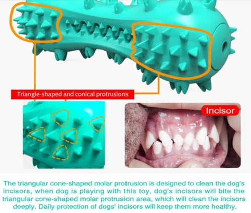 Dogs Rubber Molar Stick