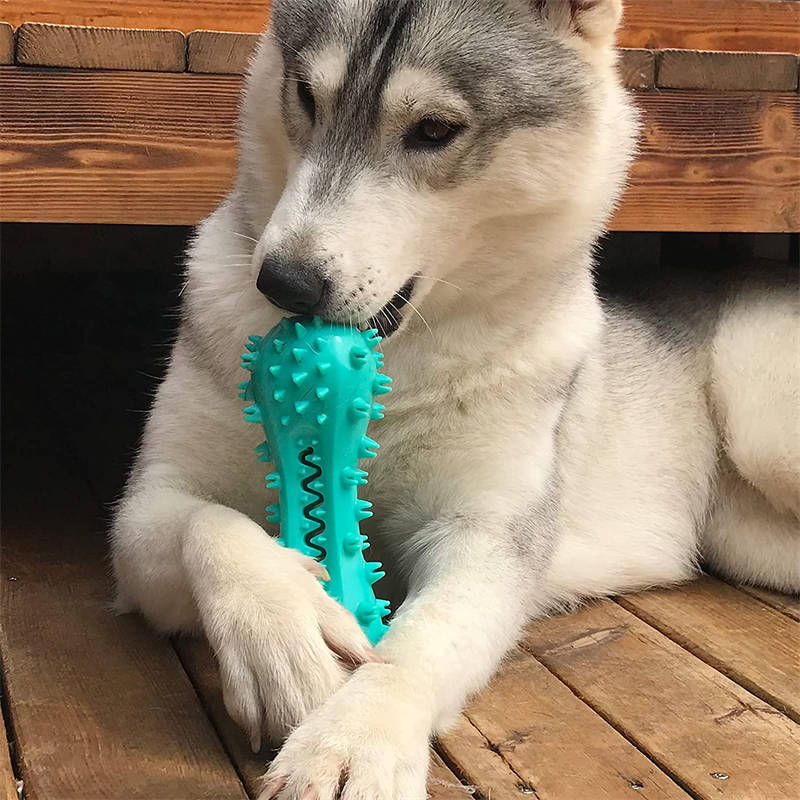 Dogs Rubber Molar Stick