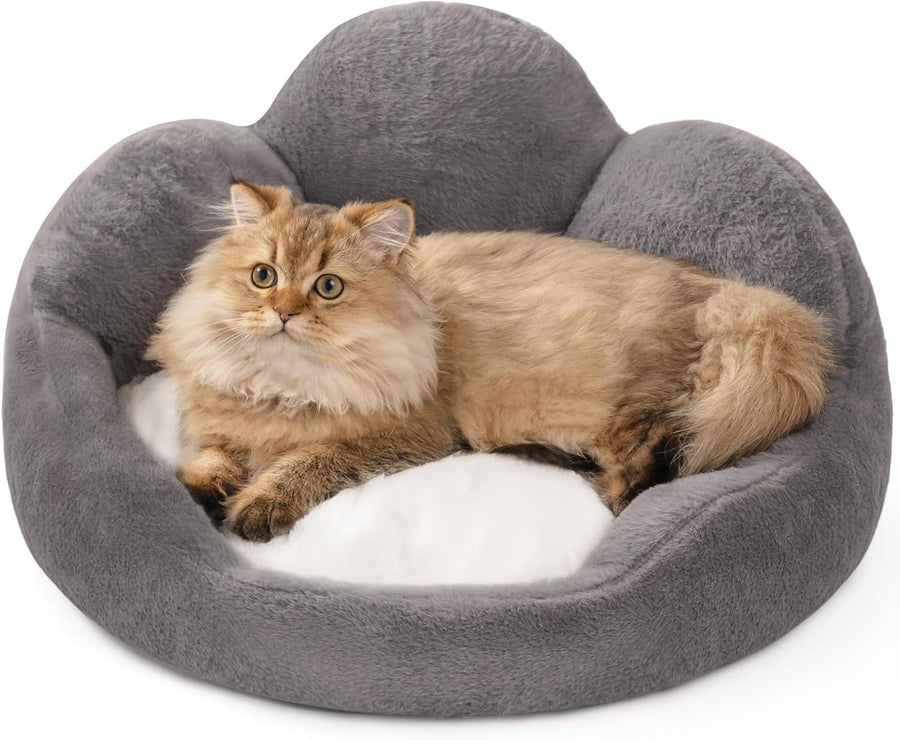 Cat Bed And Small Dog Bed