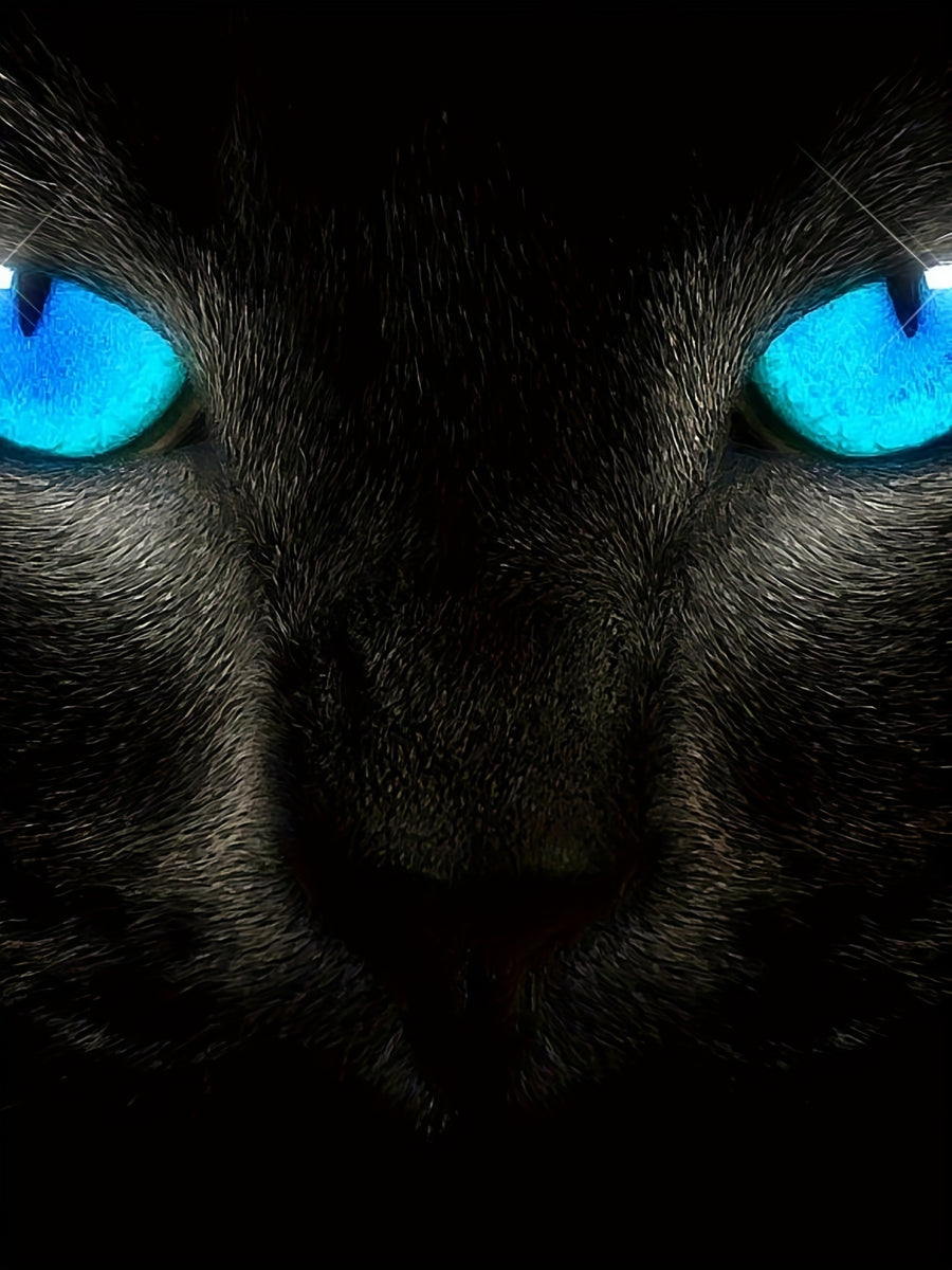 Men's Fashionable Color Blocked Short Sleeved Round Neck T-shirt