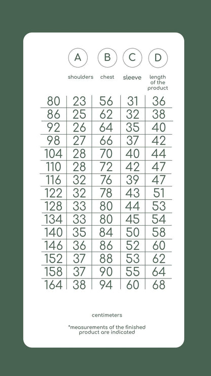 Kids Vyshyvanka Shirt – Ukrainian Embroidered Shirt for Boys